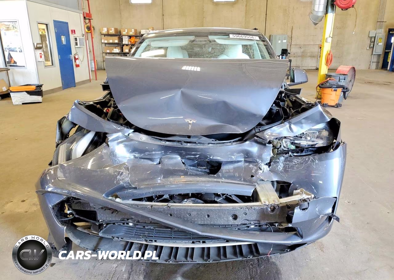 2023 Tesla Model Y VIN:7SAYGDEE7PF894331 - 5