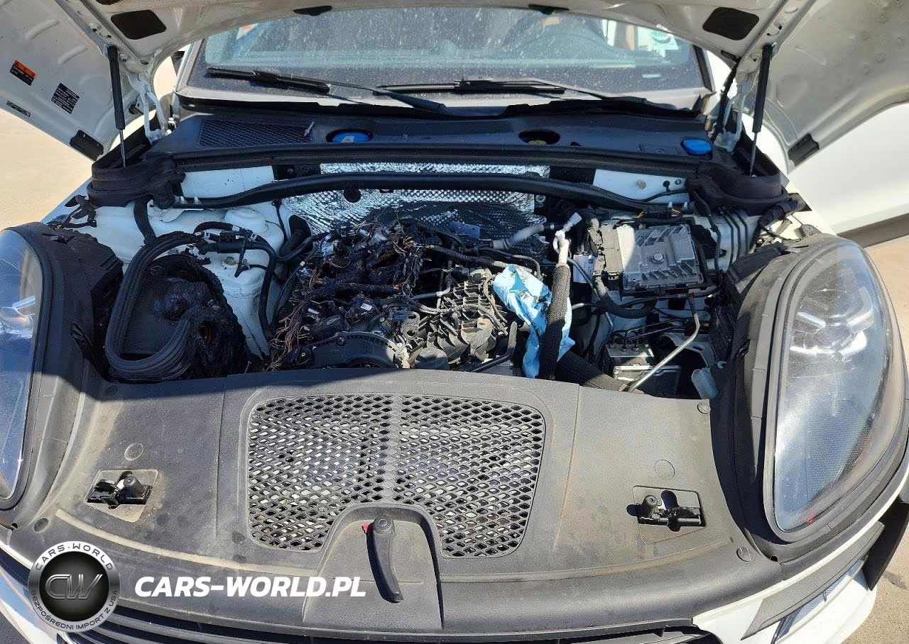 2020 Porsche Macan VIN:WP1AA2A52LLB09715 - 12