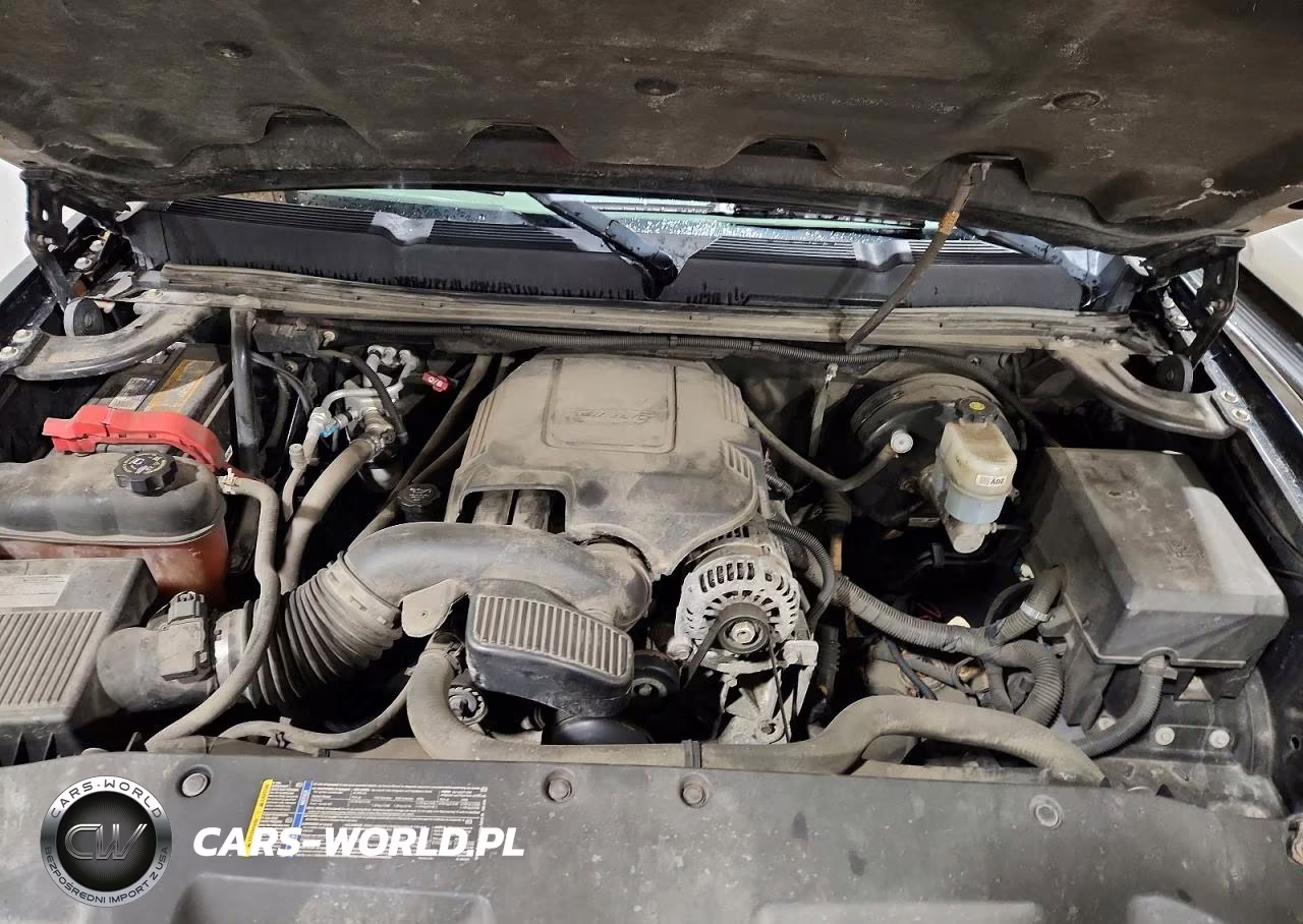 2009 Chevrolet Silverado K1500 VIN:1GCEK14C09Z198369 - 11