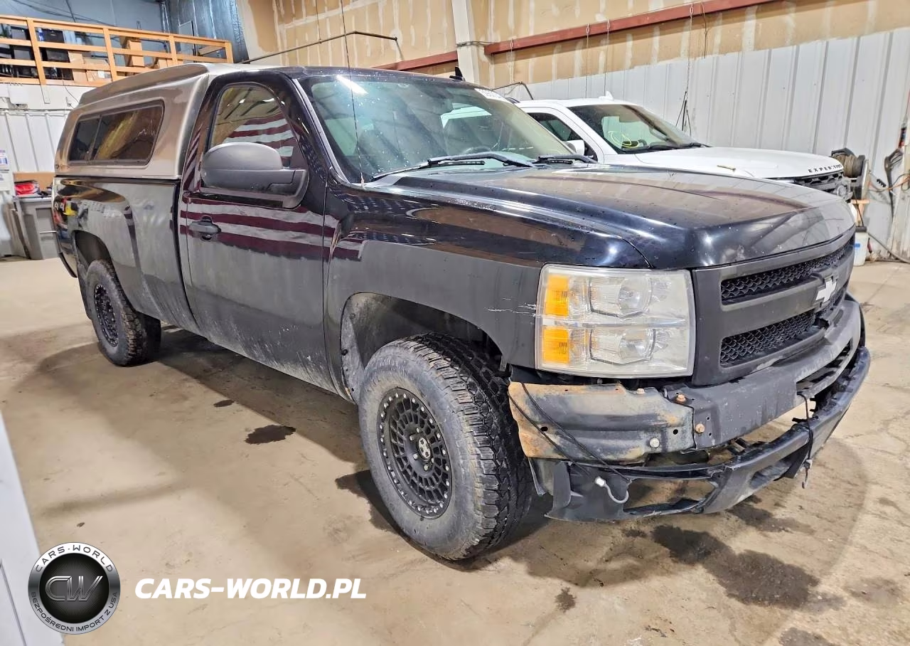 2009 Chevrolet Silverado K1500 VIN:1GCEK14C09Z198369 - 4