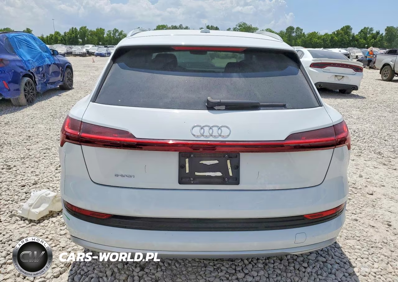 2019 Audi E-Tron Premium Plus VIN:WA1LAAGE8KB024971 - 6