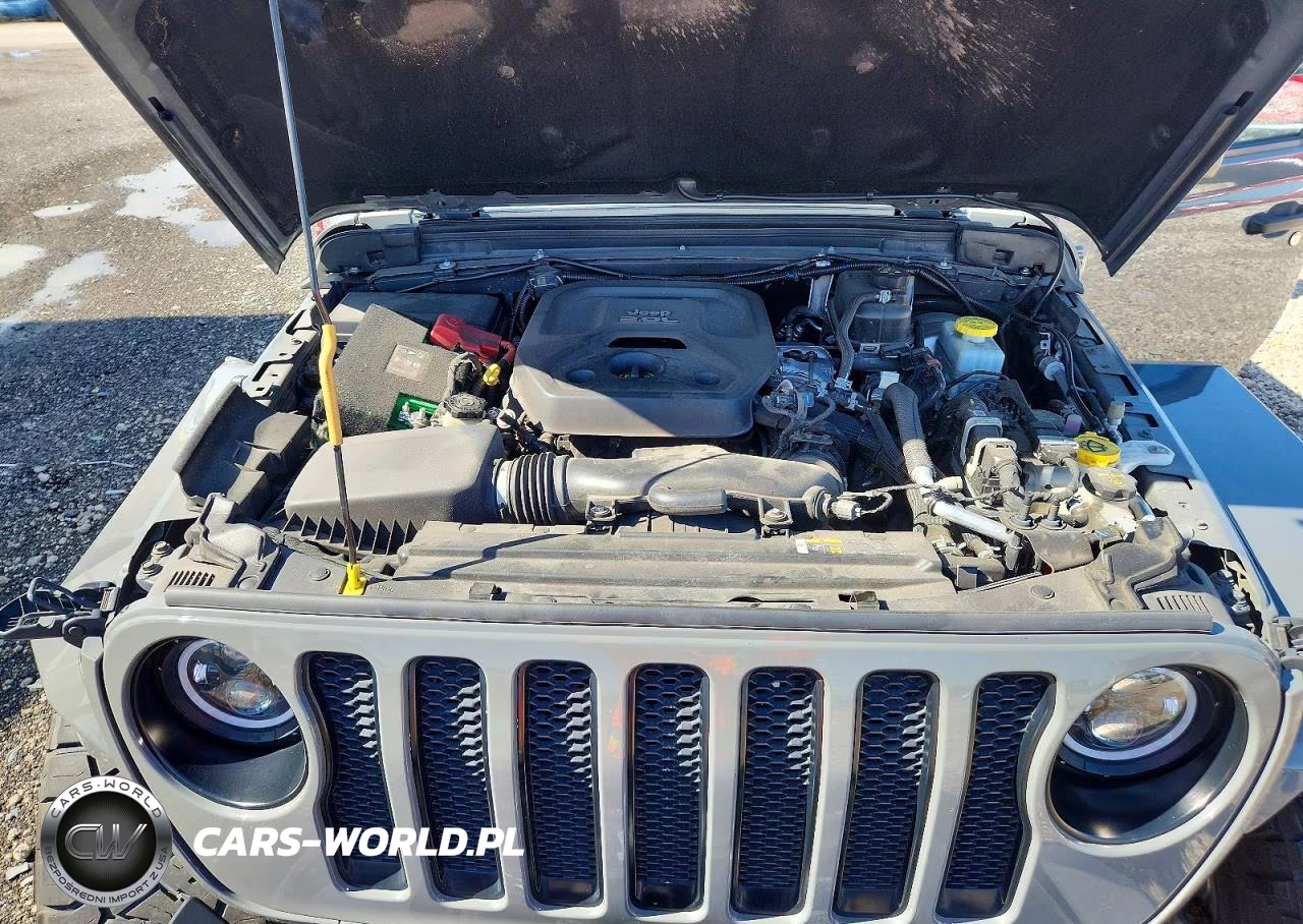 2019 Jeep Wrangler Unlimited Sahara VIN:1C4HJXEN2KW594555 - 12