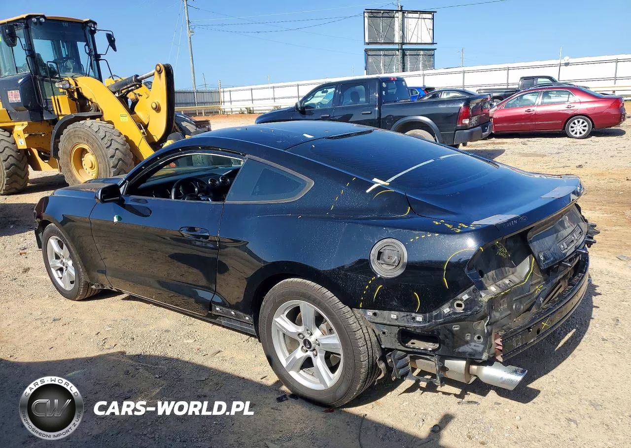 2015 Ford Mustang VIN:1FA6P8AM5F5313018 - 2