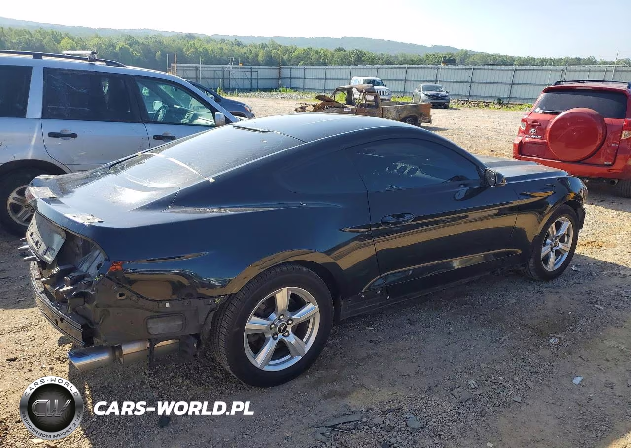 2015 Ford Mustang VIN:1FA6P8AM5F5313018 - 3
