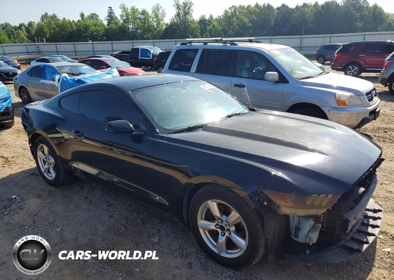 2015 Ford Mustang VIN:1FA6P8AM5F5313018 - 4