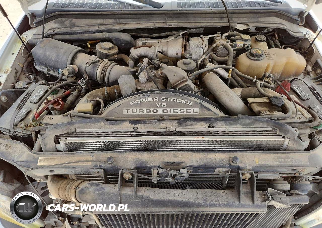 2009 Ford F250 Super Duty VIN:1FTSW21R79EB26145 - 11