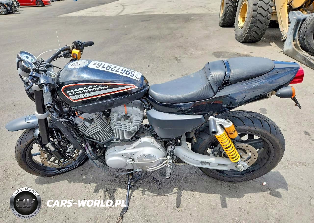 2009 Harley-Davidson Xr1200 VIN:1HD1LA6349K453069 - 3