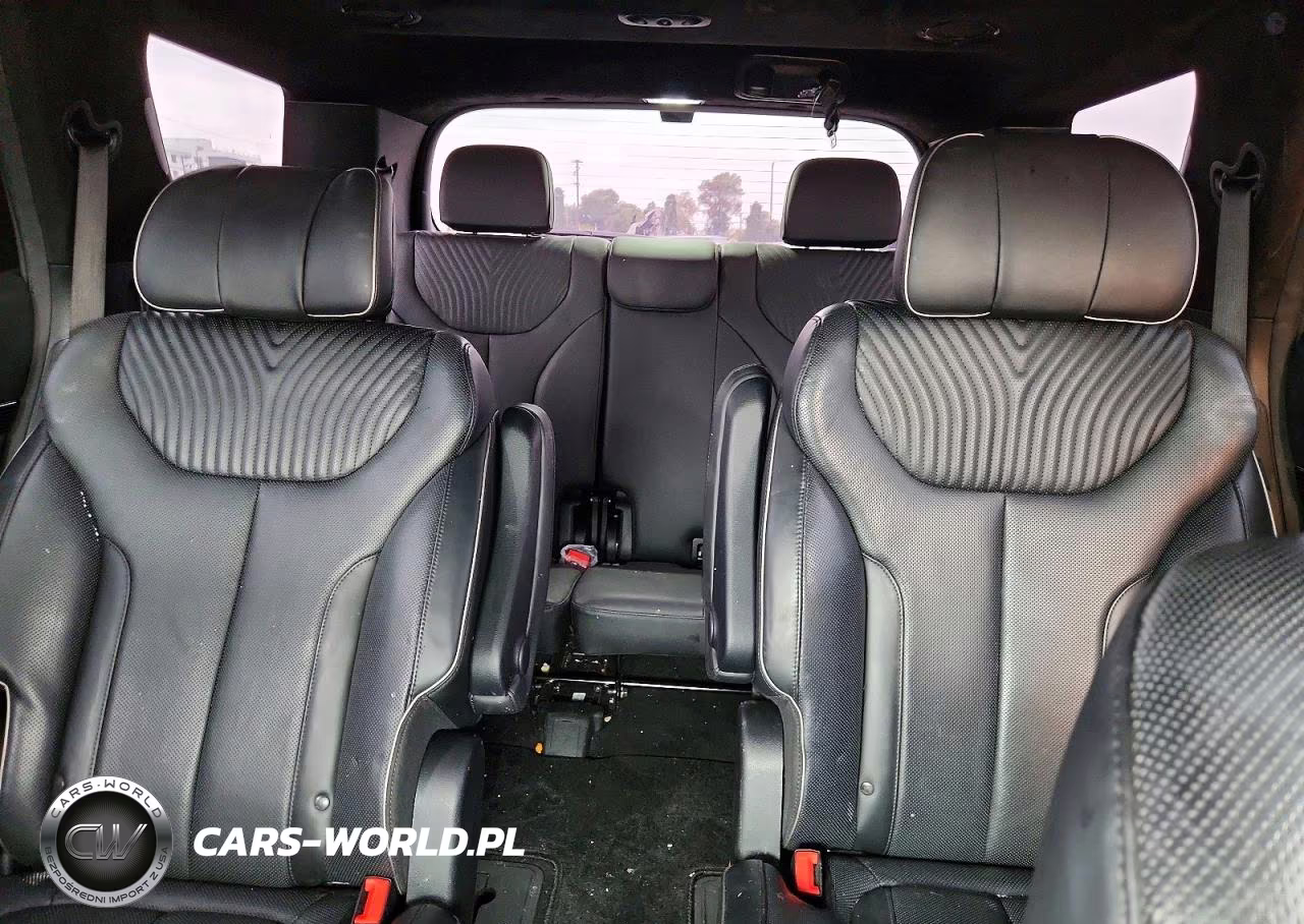 2023 Hyundai Palisade Calligraphy VIN:KM8R74GE8PU644663 - 10