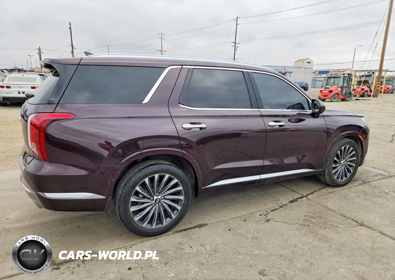 2023 Hyundai Palisade Calligraphy VIN:KM8R74GE8PU644663 - 3