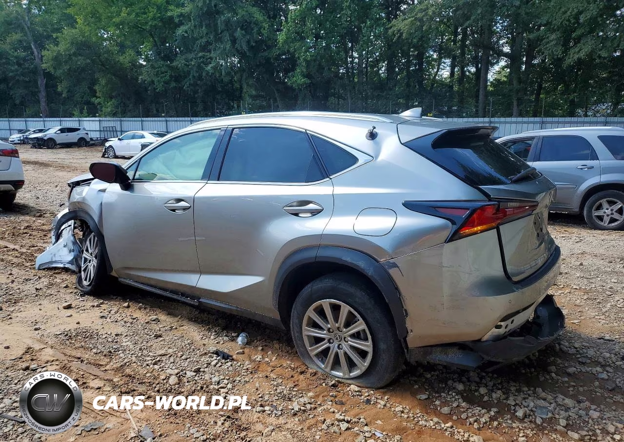 2020 Lexus Nx 300 VIN:JTJDARBZ9L5018791 - 2