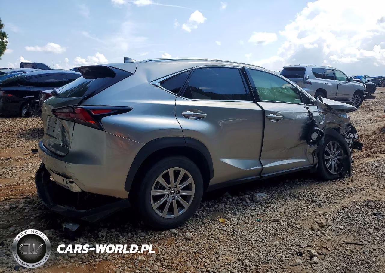 2020 Lexus Nx 300 VIN:JTJDARBZ9L5018791 - 3