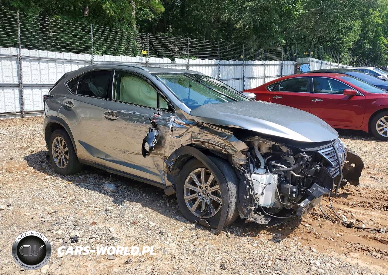 2020 Lexus Nx 300 VIN:JTJDARBZ9L5018791 - 4