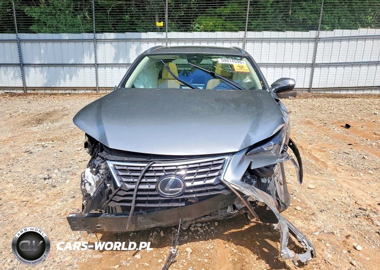 2020 Lexus Nx 300 VIN:JTJDARBZ9L5018791 - 5