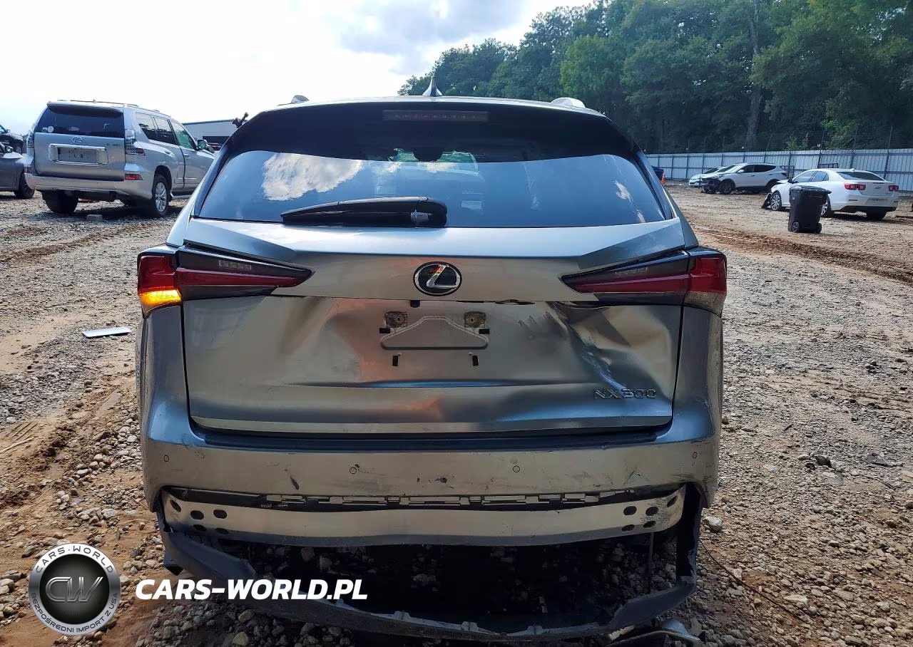 2020 Lexus Nx 300 VIN:JTJDARBZ9L5018791 - 6