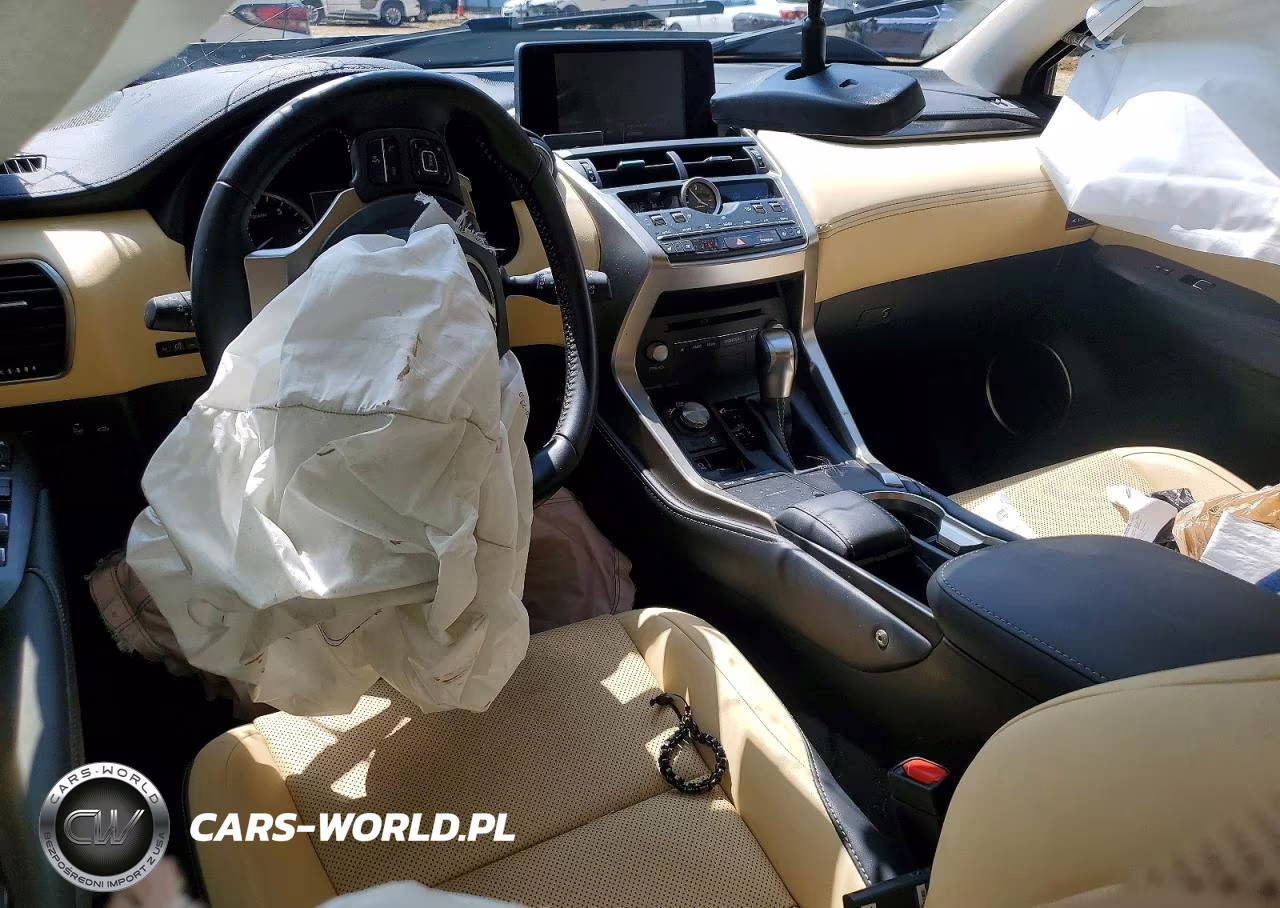 2020 Lexus Nx 300 VIN:JTJDARBZ9L5018791 - 8