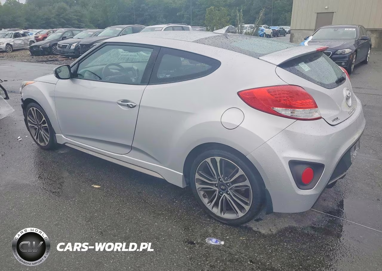 2016 Hyundai Veloster Turbo VIN:KMHTC6AE3GU290024 - 2