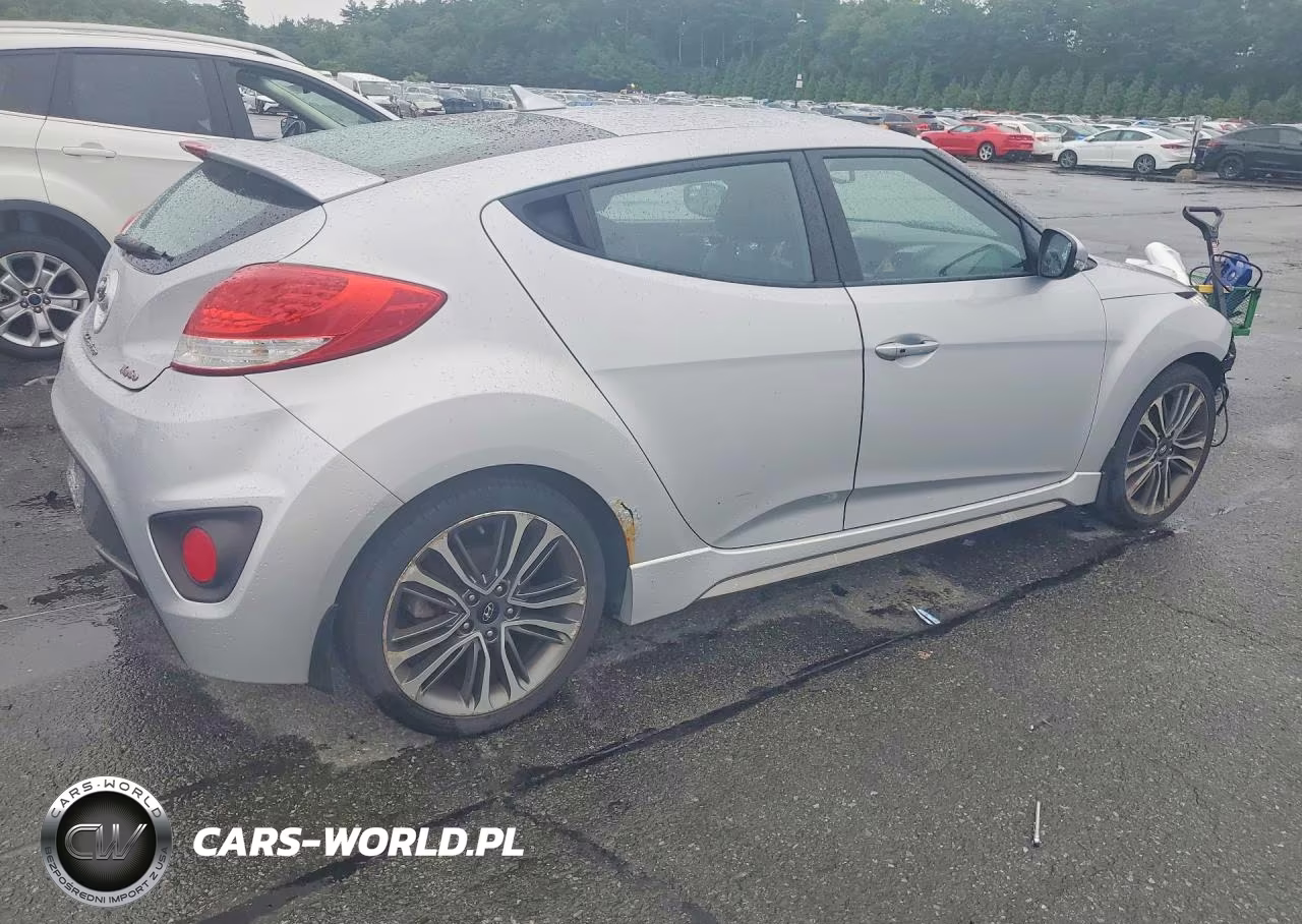 2016 Hyundai Veloster Turbo VIN:KMHTC6AE3GU290024 - 3