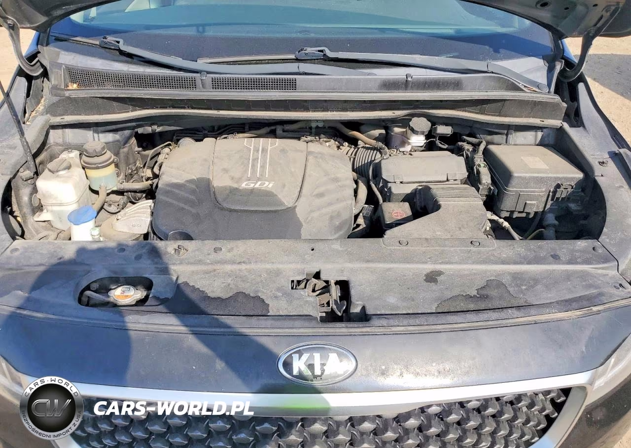 2016 Kia Sedona Lx VIN:KNDMB5C13G6197900 - 12