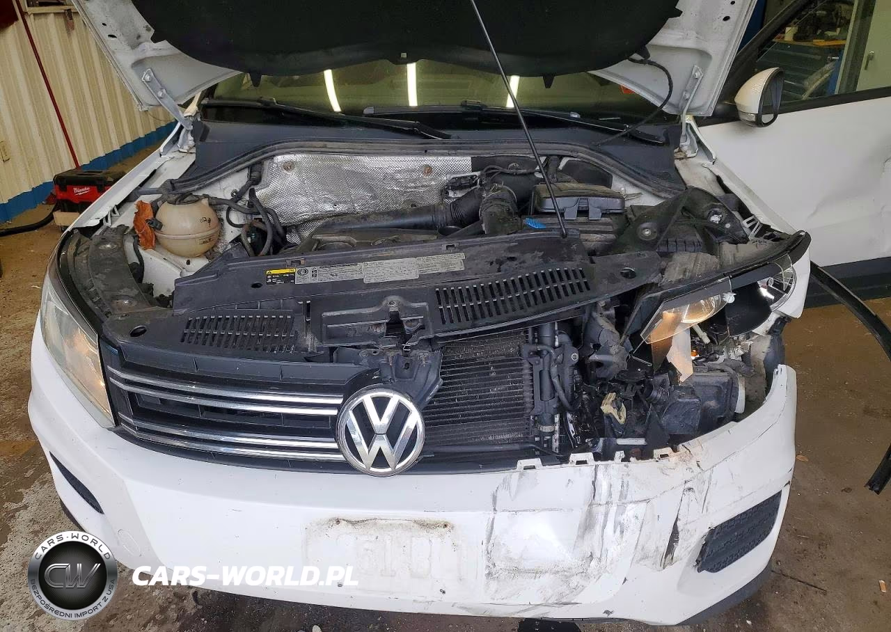 2013 Volkswagen Tiguan S VIN:WVGBV3AX8DW575274 - 11