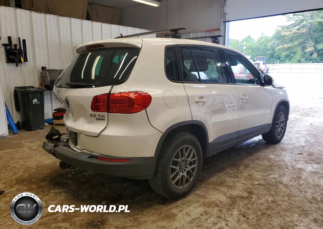 2013 Volkswagen Tiguan S VIN:WVGBV3AX8DW575274 - 3
