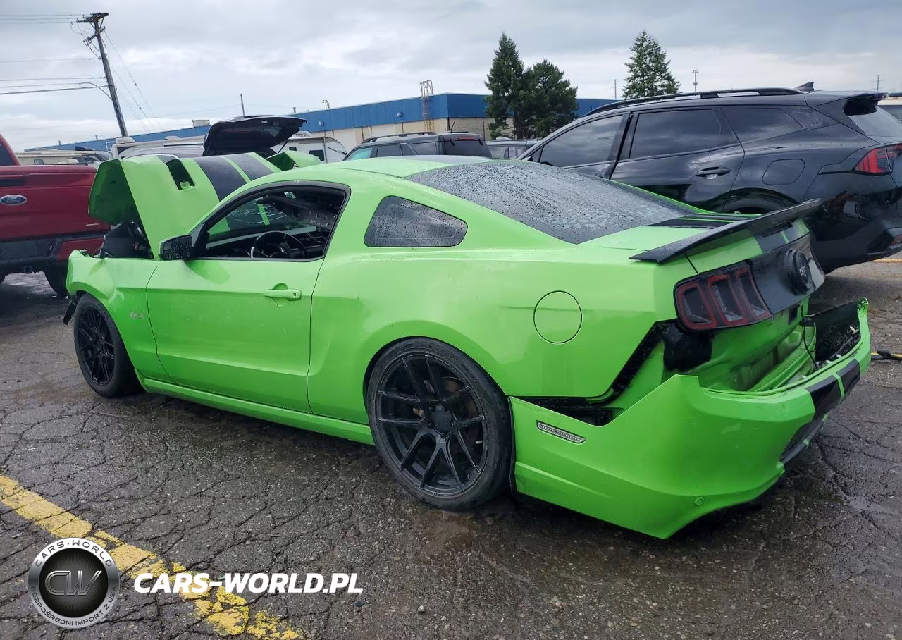 2013 Ford Mustang Gt VIN:1ZVBP8CFXD5232551 - 2