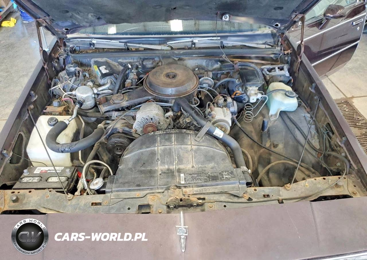 1987 Oldsmobile Cutlass Supreme VIN:1G3GR51A4HR315786 - 11