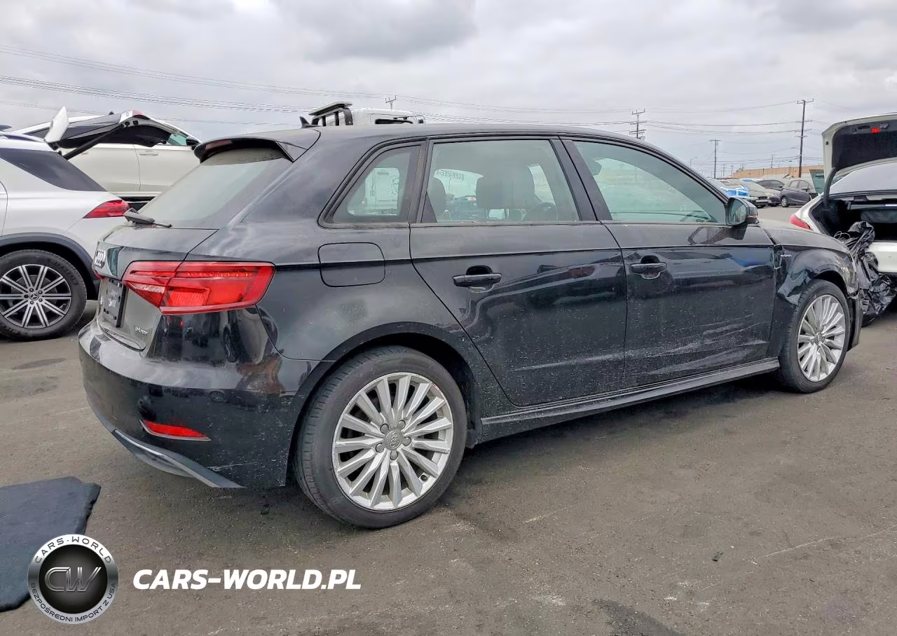 2017 Audi A3 E-Tron Premium VIN:WAUUPBFF5HA046897 - 3