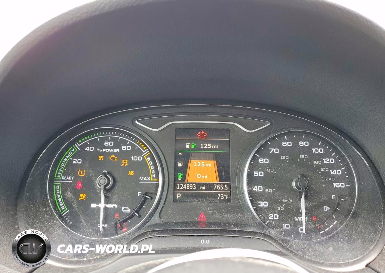 2017 Audi A3 E-Tron Premium VIN:WAUUPBFF5HA046897 - 9