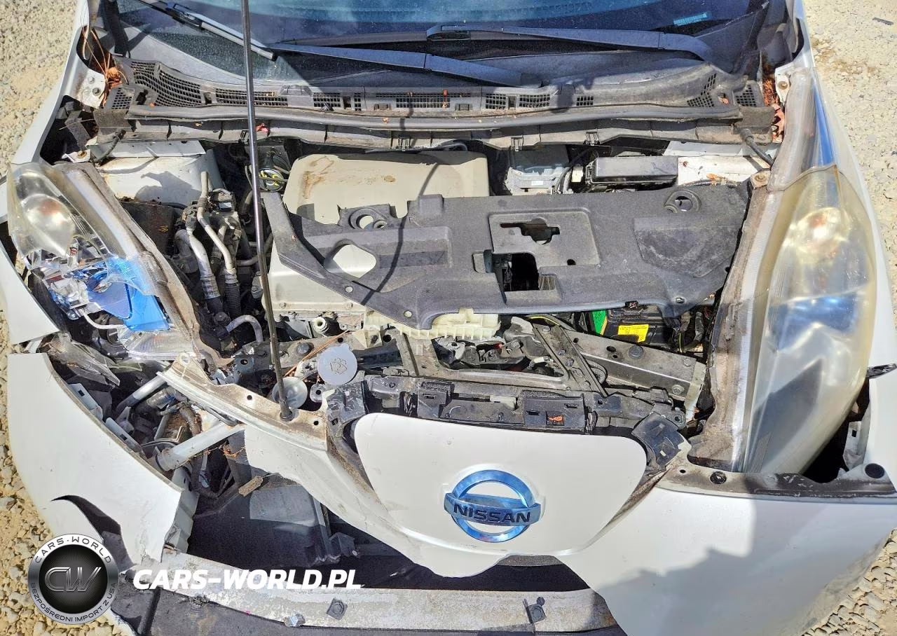 2015 Nissan Leaf Sv VIN:1N4AZ0CP8FC304614 - 11