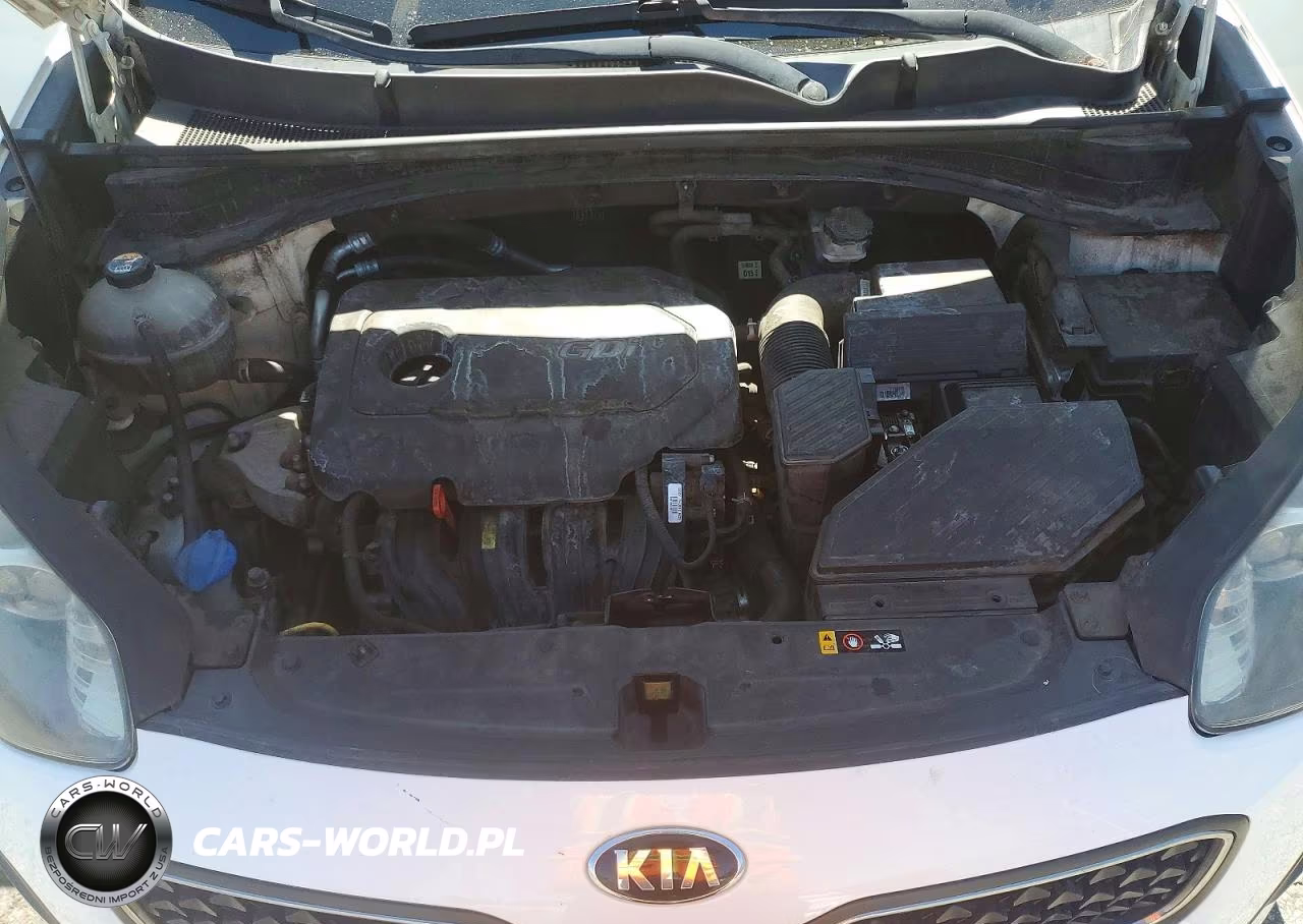 2019 Kia Sportage Lx VIN:KNDPM3AC6K7526009 - 12