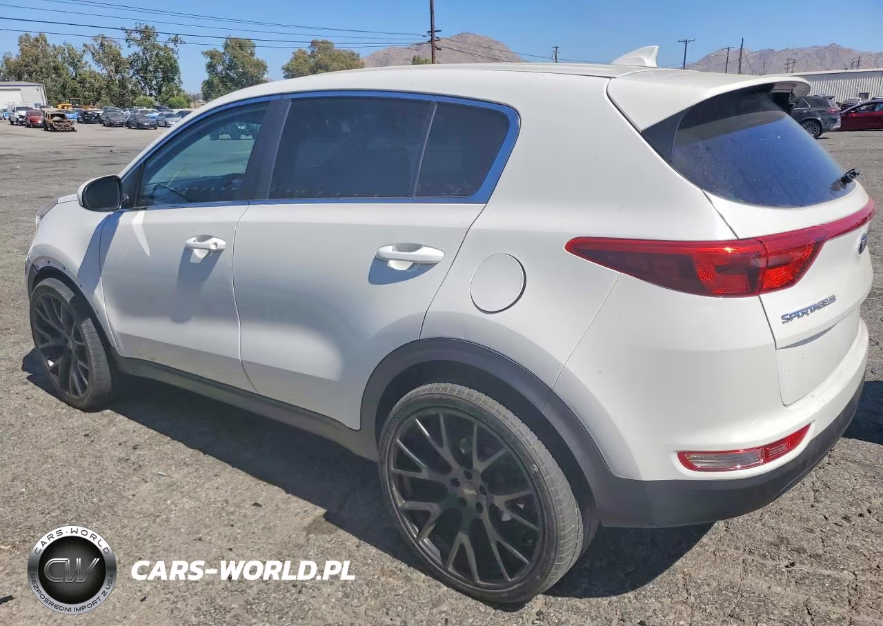 2019 Kia Sportage Lx VIN:KNDPM3AC6K7526009 - 2