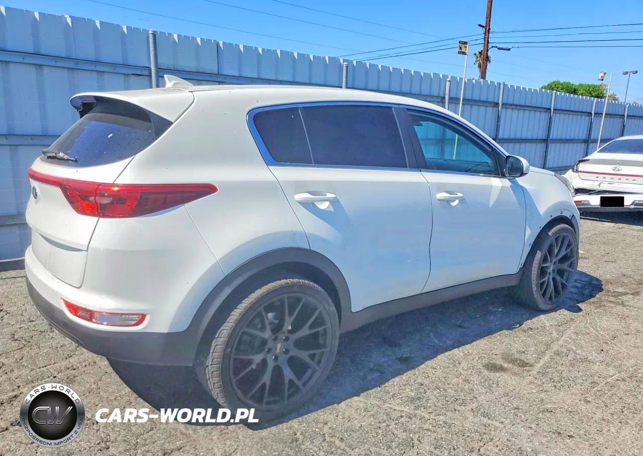 2019 Kia Sportage Lx VIN:KNDPM3AC6K7526009 - 3