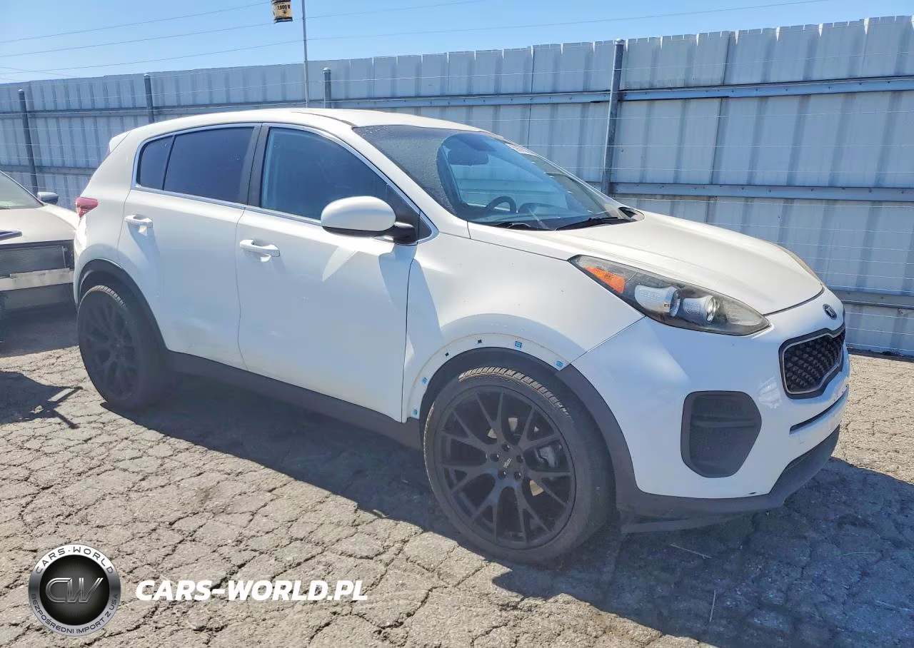 2019 Kia Sportage Lx VIN:KNDPM3AC6K7526009 - 4