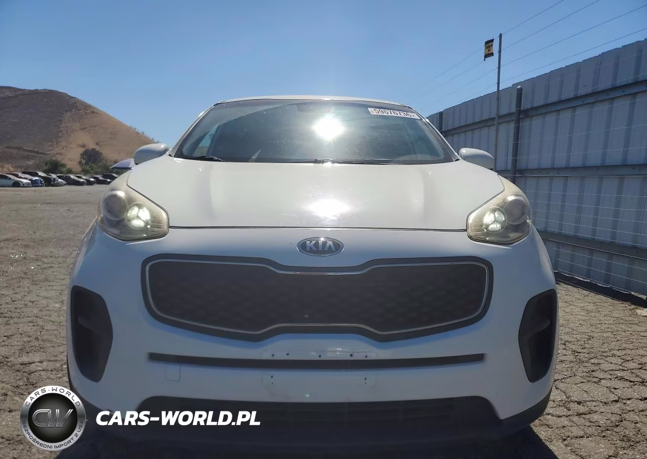 2019 Kia Sportage Lx VIN:KNDPM3AC6K7526009 - 5