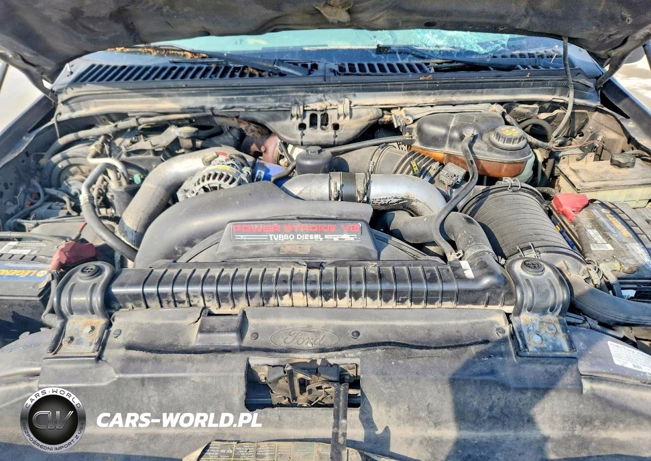 2004 Ford F250 Super Duty VIN:1FTNW21P94EB30119 - 11
