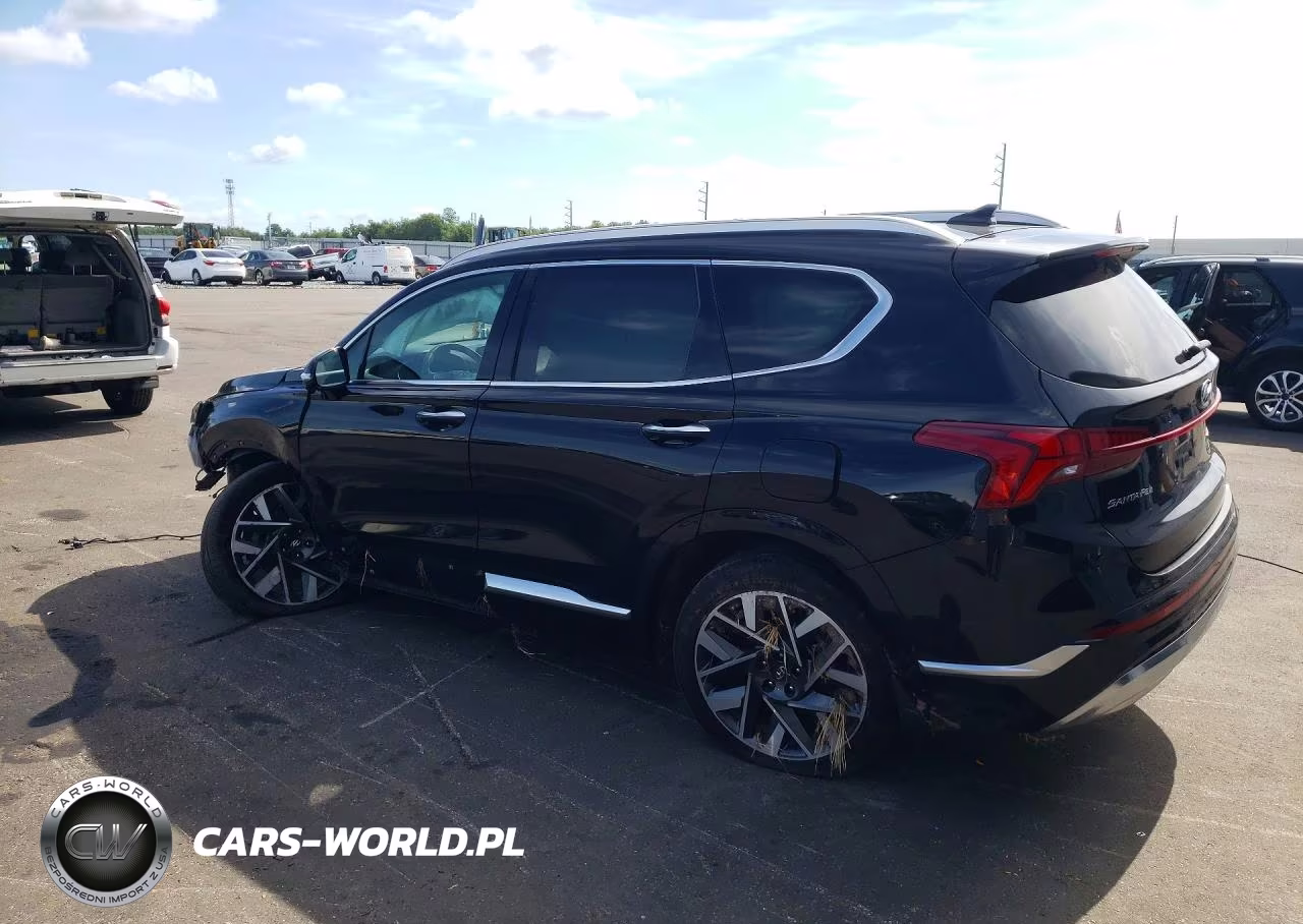 2023 Hyundai Santa Fe Calligraphy VIN:5NMS5DALXPH556269 - 2