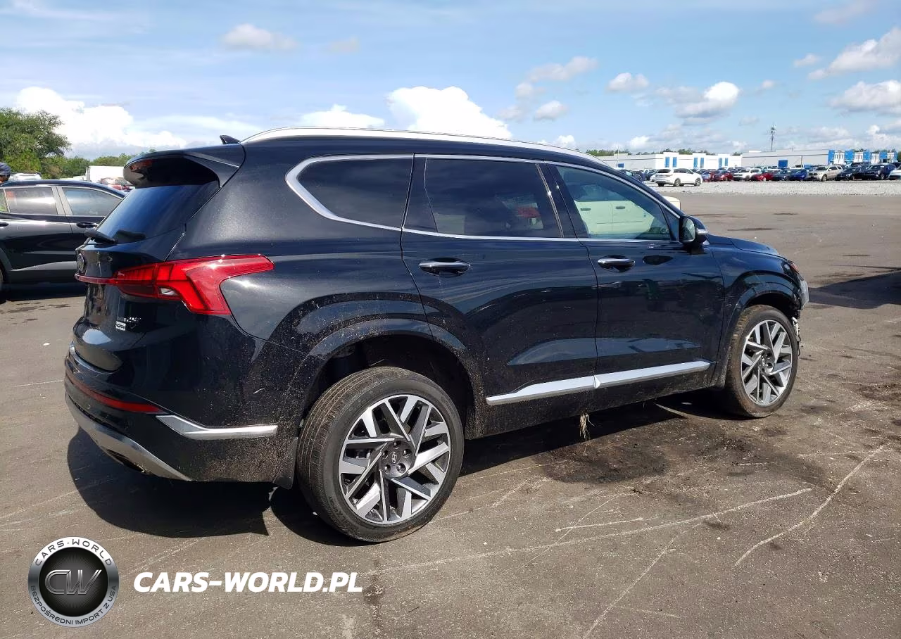 2023 Hyundai Santa Fe Calligraphy VIN:5NMS5DALXPH556269 - 3