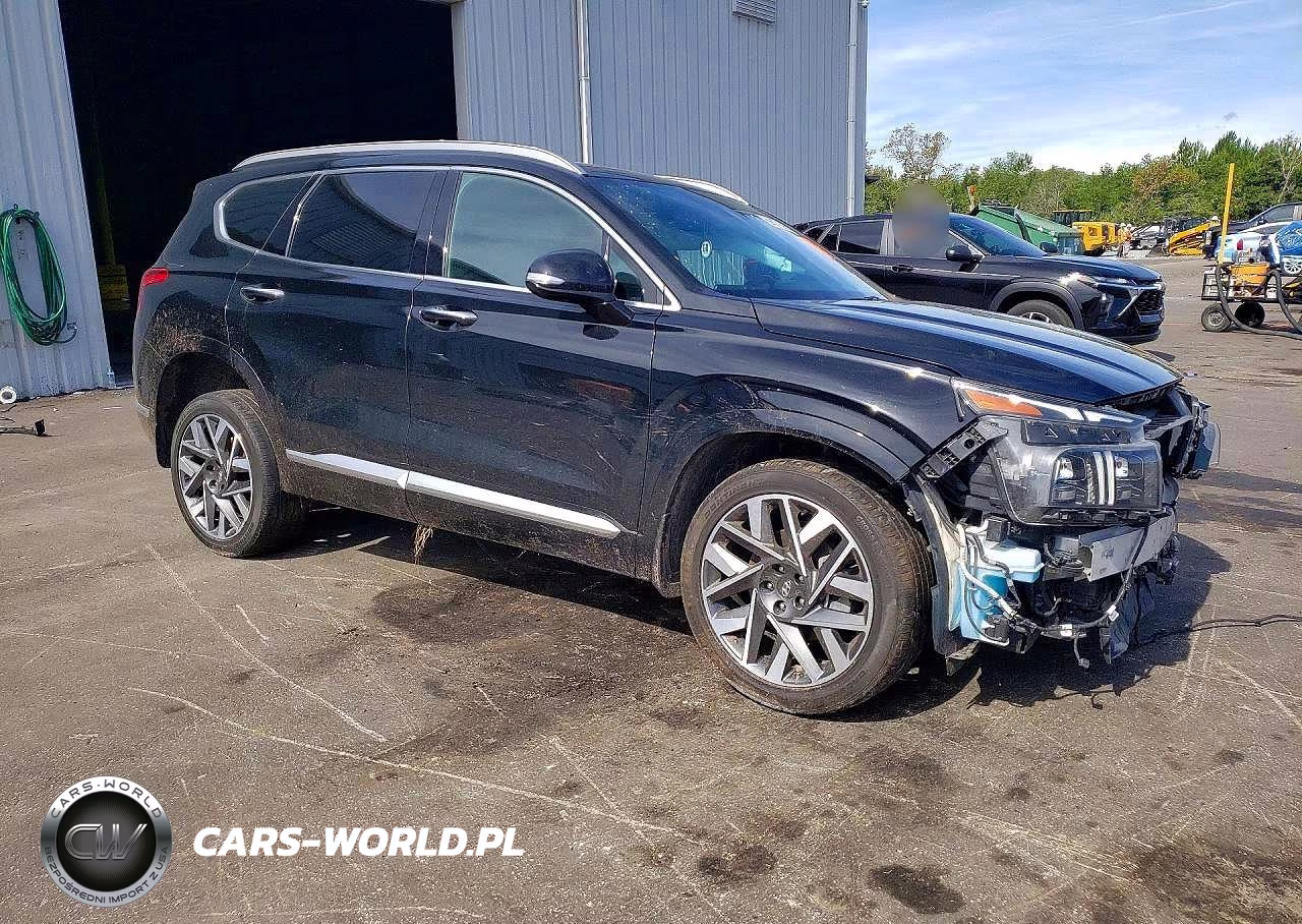 2023 Hyundai Santa Fe Calligraphy VIN:5NMS5DALXPH556269 - 4