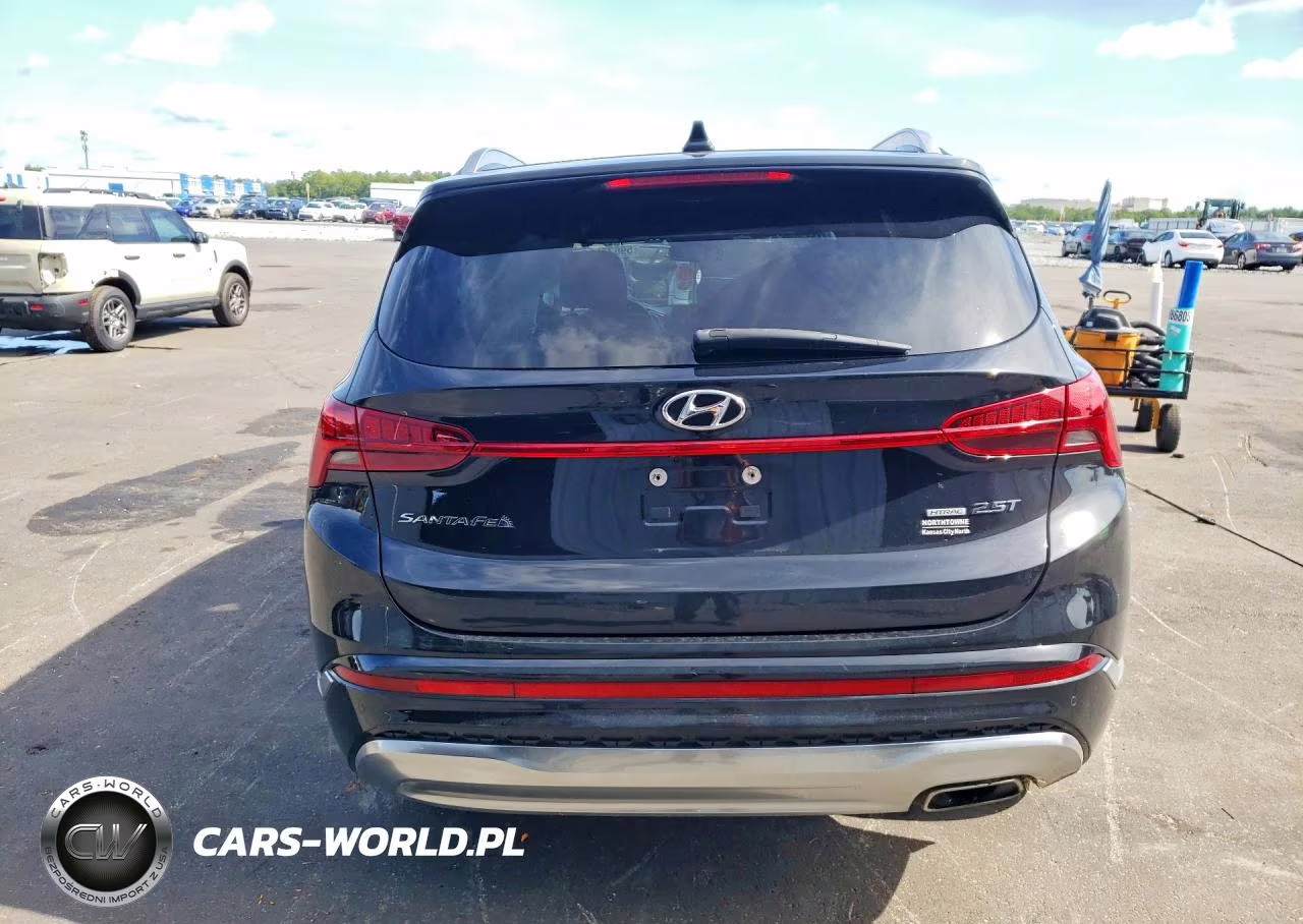 2023 Hyundai Santa Fe Calligraphy VIN:5NMS5DALXPH556269 - 6