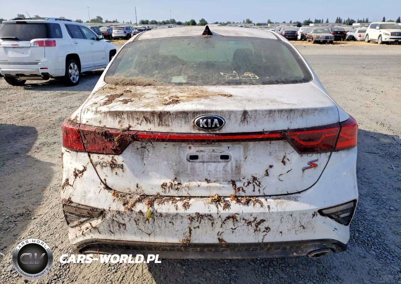 2019 Kia Forte S VIN:3KPF34AD9KE087577 - 6
