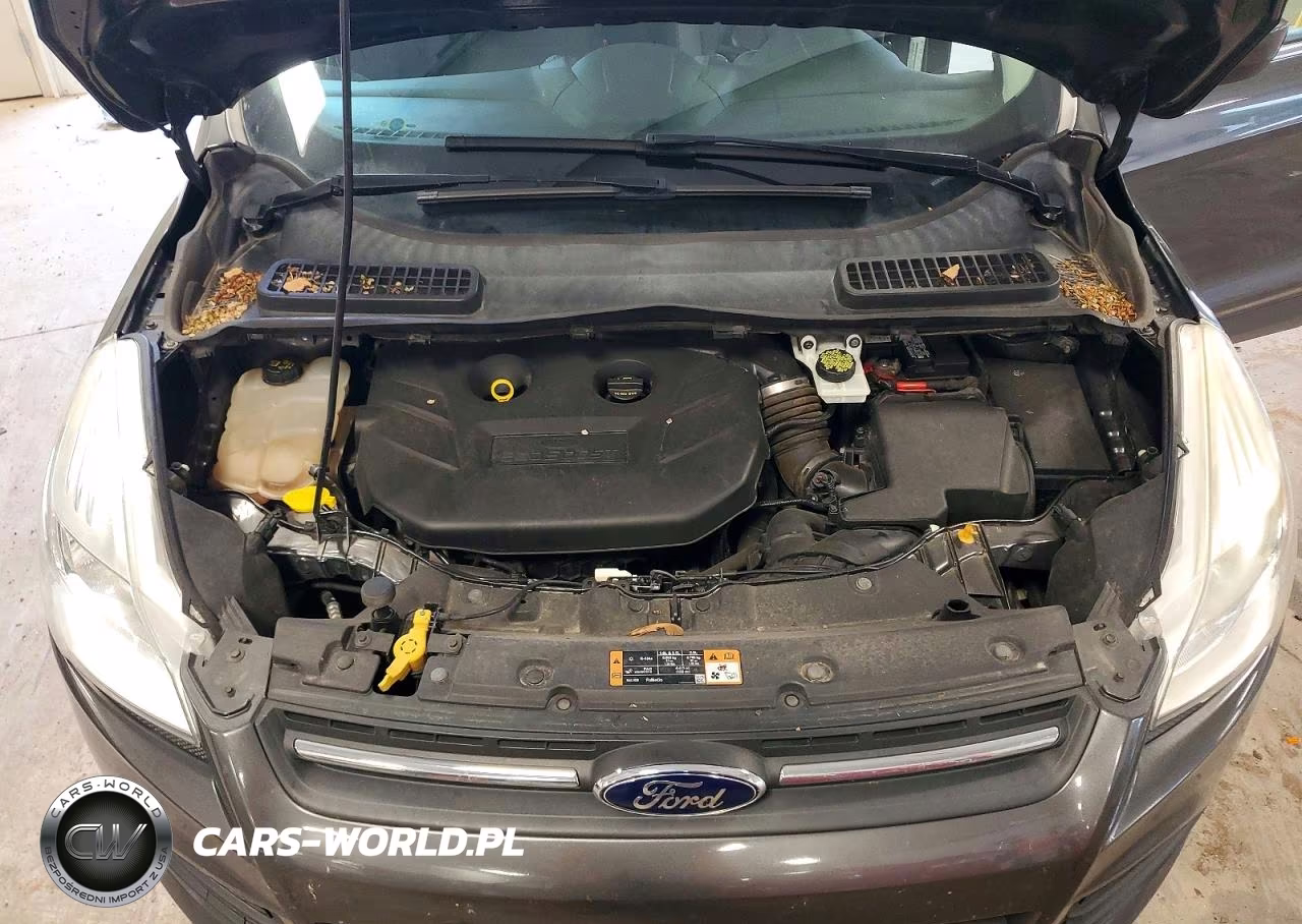 2015 Ford Escape Se VIN:1FMCU9G94FUA98005 - 11