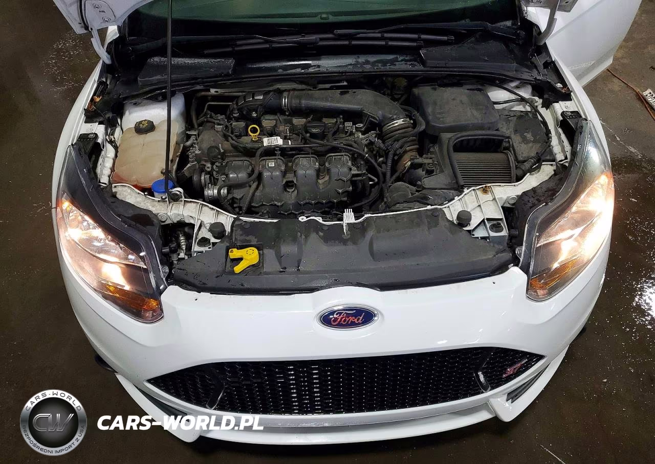 2014 Ford Focus St VIN:1FADP3L95EL237295 - 12