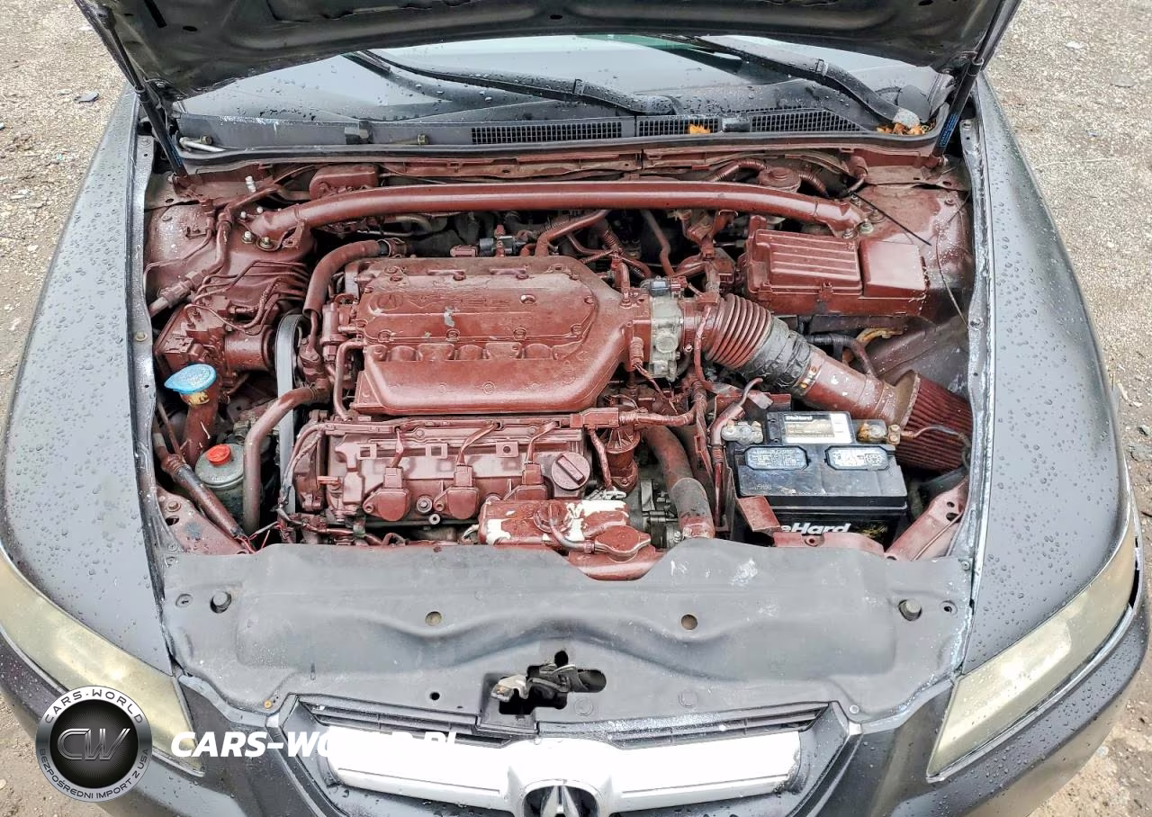 2004 Acura Tl VIN:19UUA66214A025372 - 11