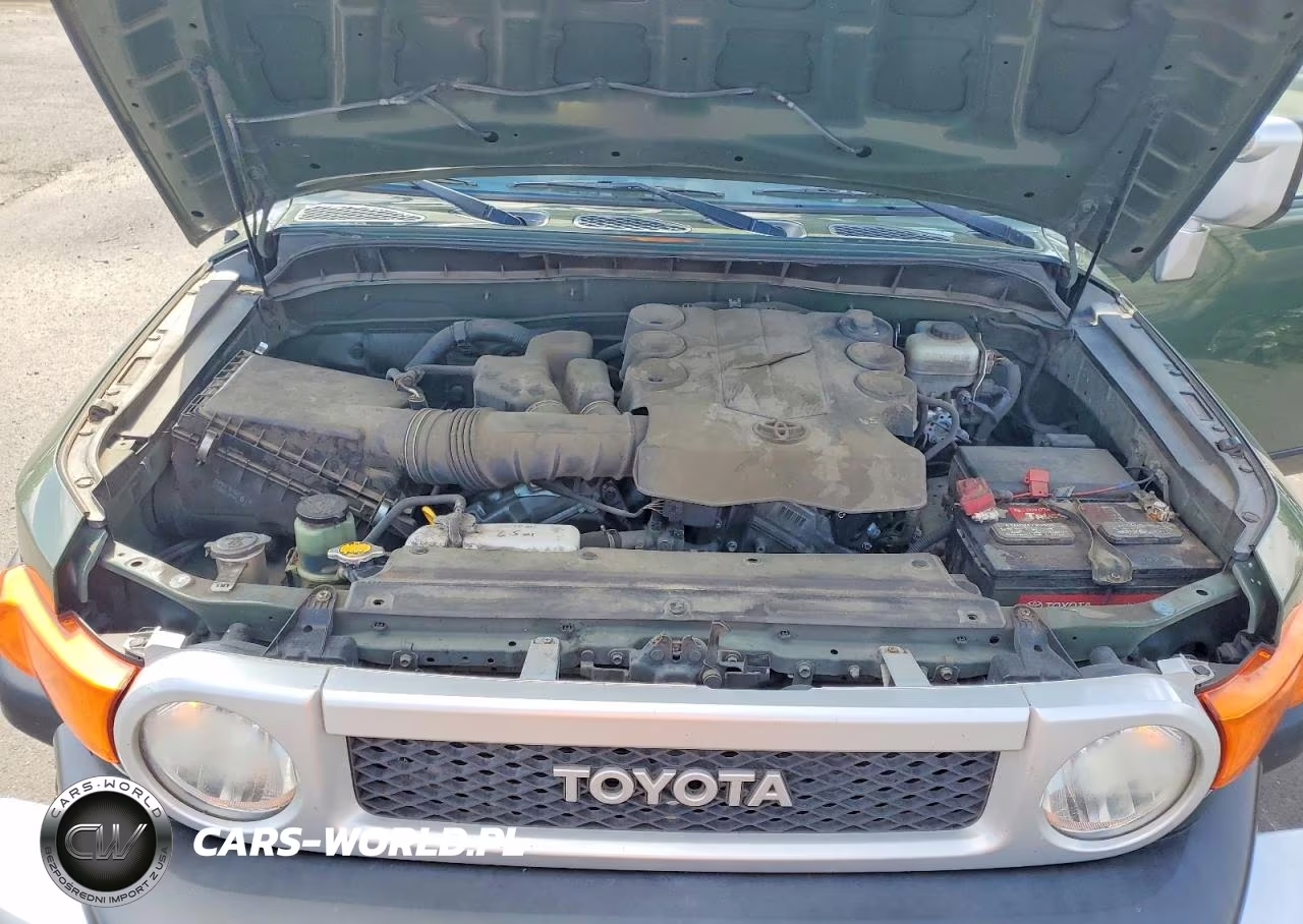 2010 Toyota Fj Cruiser VIN:JTEBU4BFXAK091348 - 12