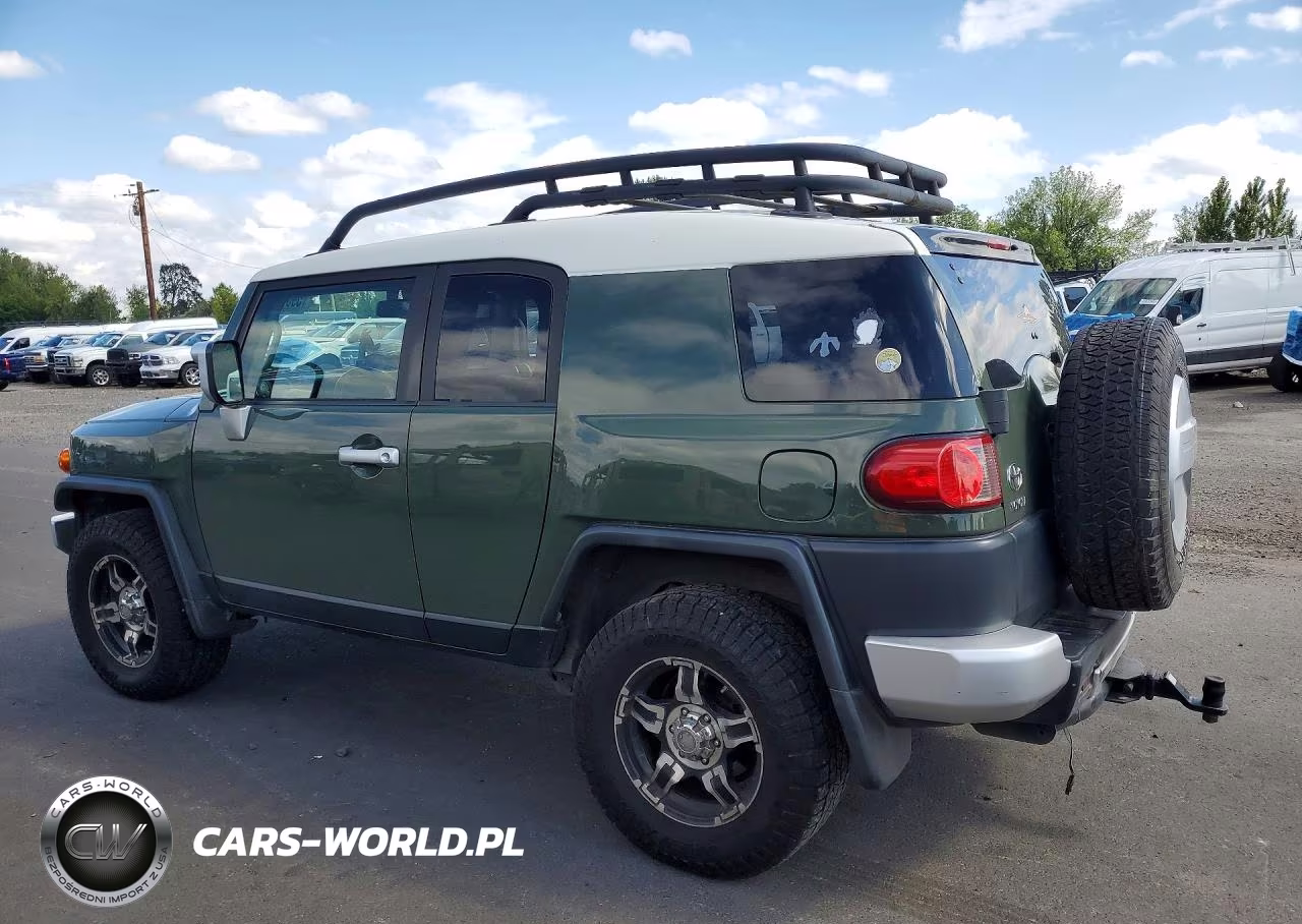2010 Toyota Fj Cruiser VIN:JTEBU4BFXAK091348 - 2