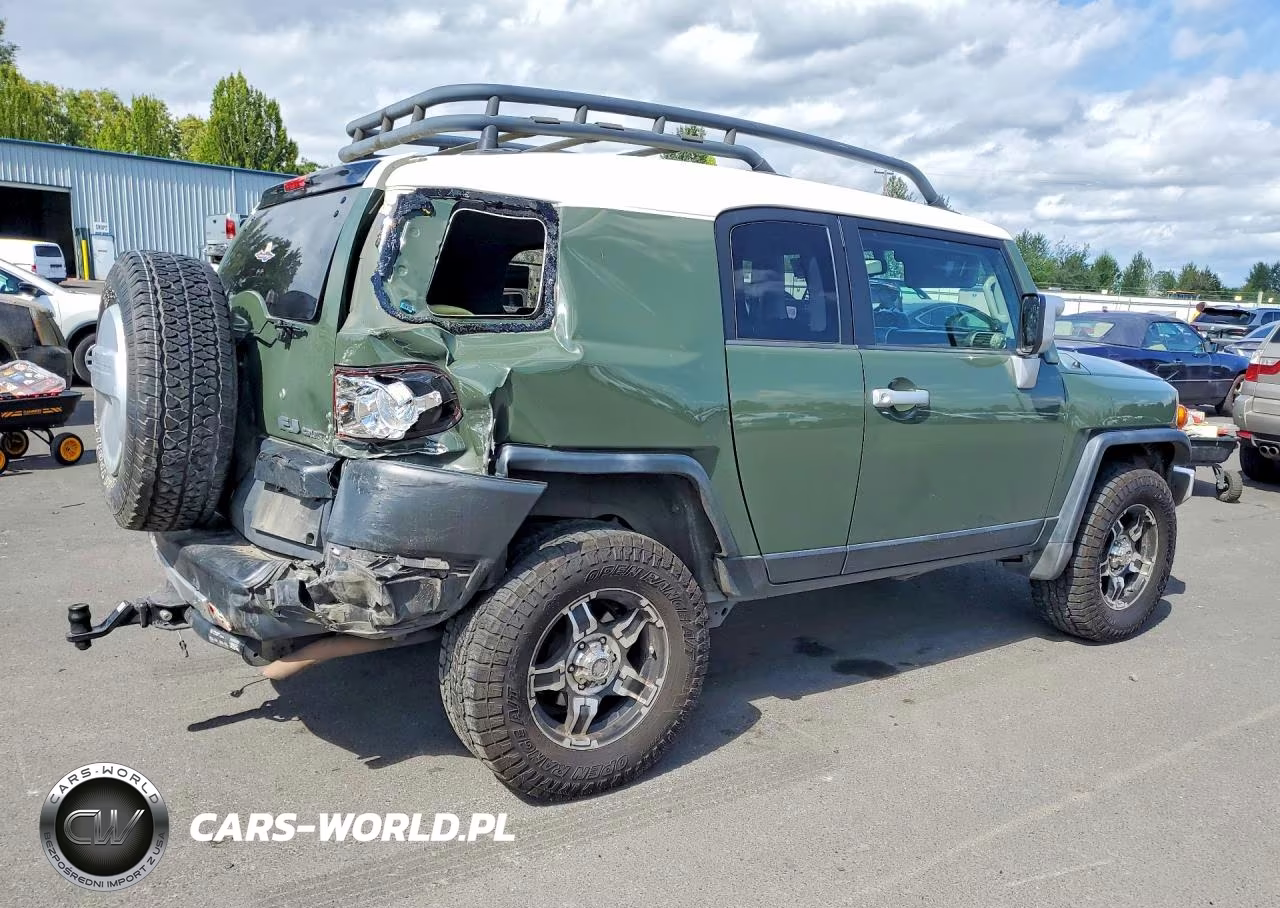 2010 Toyota Fj Cruiser VIN:JTEBU4BFXAK091348 - 3