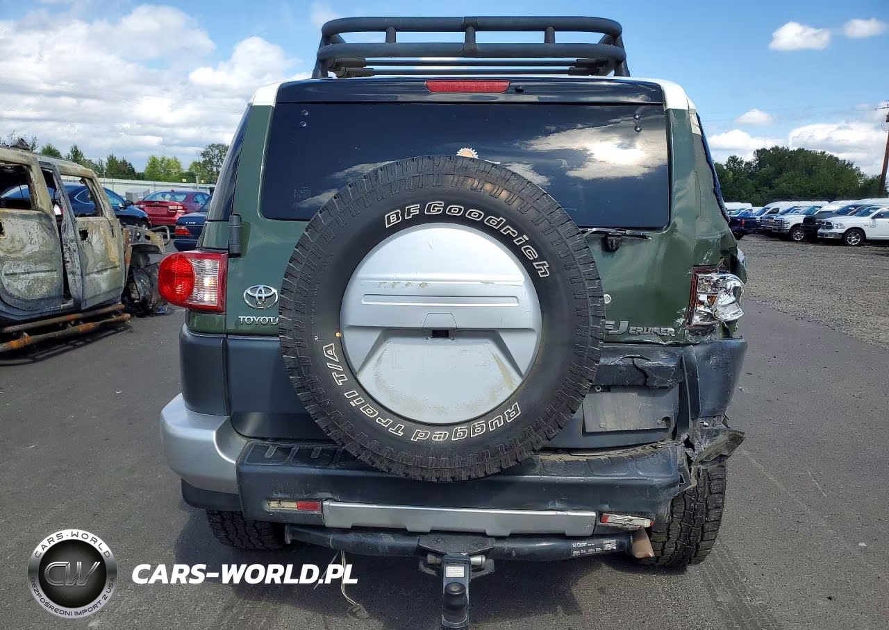 2010 Toyota Fj Cruiser VIN:JTEBU4BFXAK091348 - 6