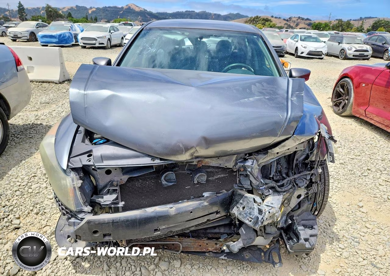 2010 Honda Accord Lx VIN:1HGCP2F31AA068021 - 5