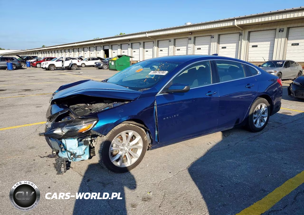 2019 Chevrolet Malibu Lt VIN:1G1ZD5ST7KF199217 - 1