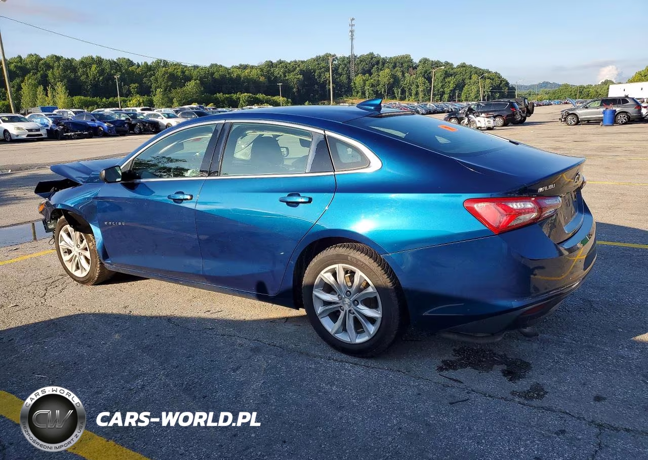 2019 Chevrolet Malibu Lt VIN:1G1ZD5ST7KF199217 - 2
